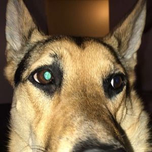 Meet your Posher, Seth